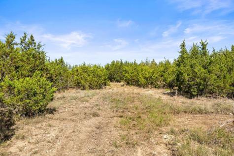 83 S Flat Rock Way Johnson City TX 78636