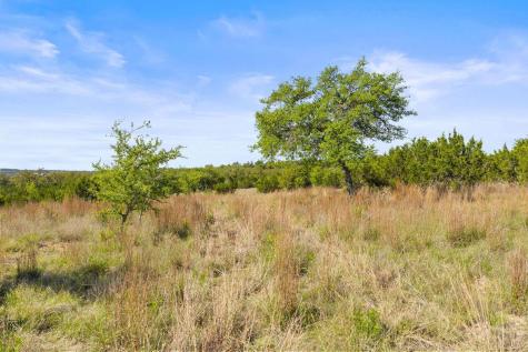 83 S Flat Rock Way Johnson City TX 78636