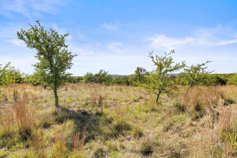 83 S Flat Rock Way Johnson City TX 78636