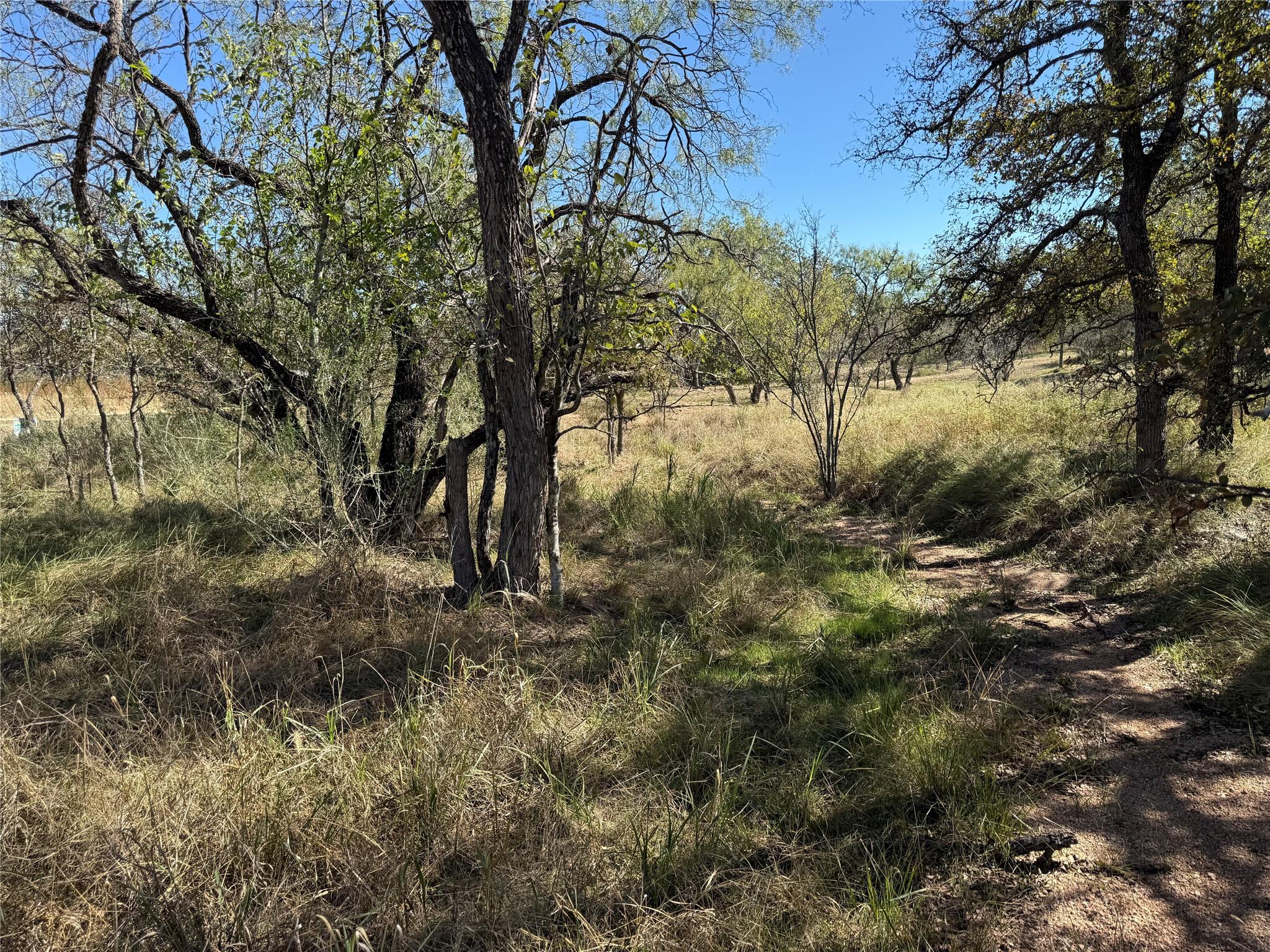 Lot 187 Longmont Street Kingsland TX 78639