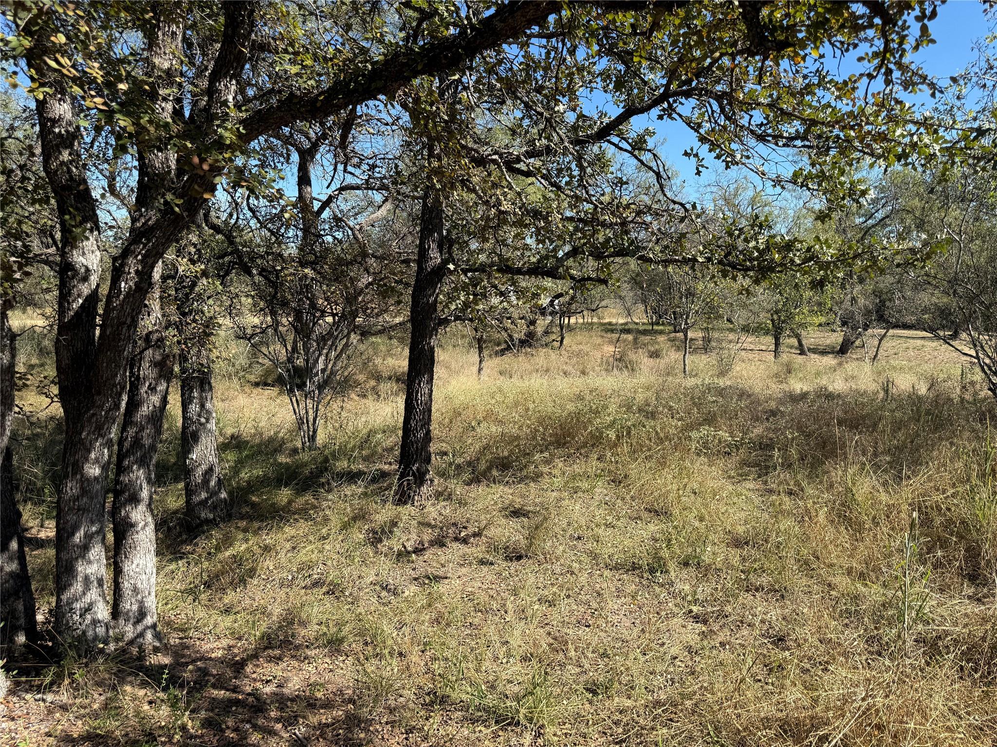 Lot 187 Longmont Street Kingsland TX 78639