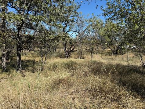 Lot 187 Longmont Street Kingsland TX 78639