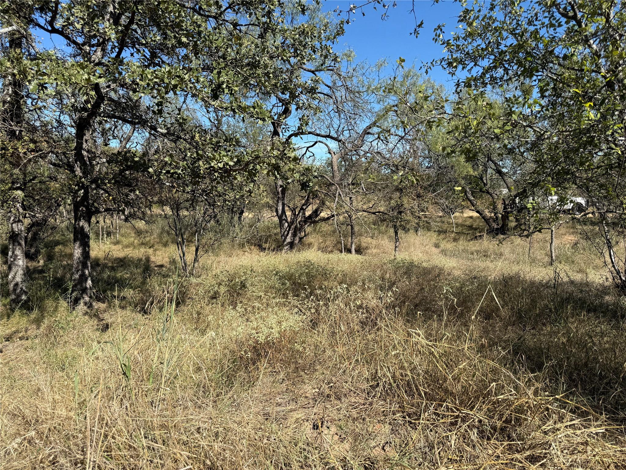 Lot 187 Longmont Street Kingsland TX 78639