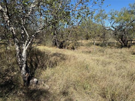 Lot 187 Longmont Street Kingsland TX 78639