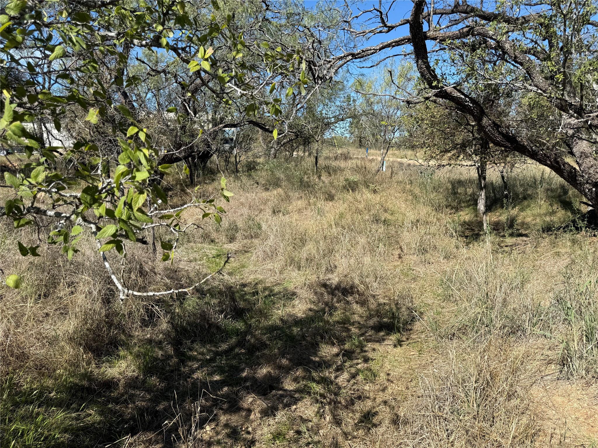Lot 187 Longmont Street Kingsland TX 78639