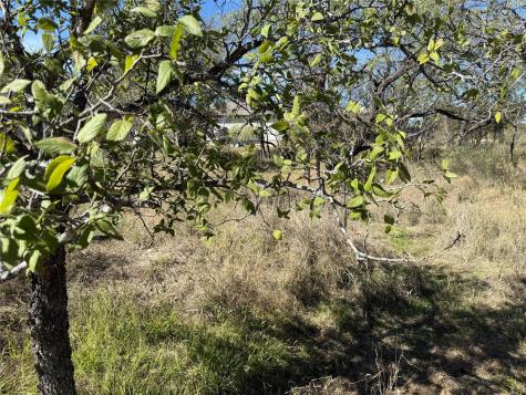 Lot 187 Longmont Street Kingsland TX 78639