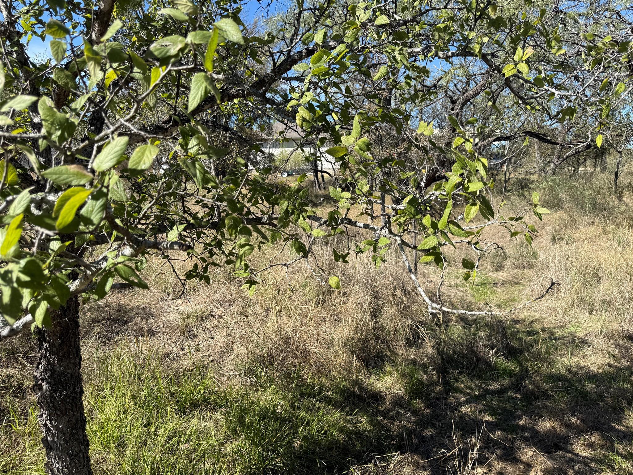 Lot 187 Longmont Street Kingsland TX 78639