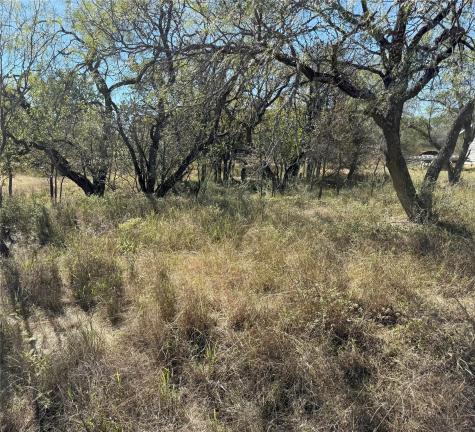 Lot 187 Longmont Street Kingsland TX 78639