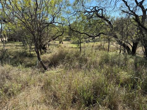 Lot 187 Longmont Street Kingsland TX 78639