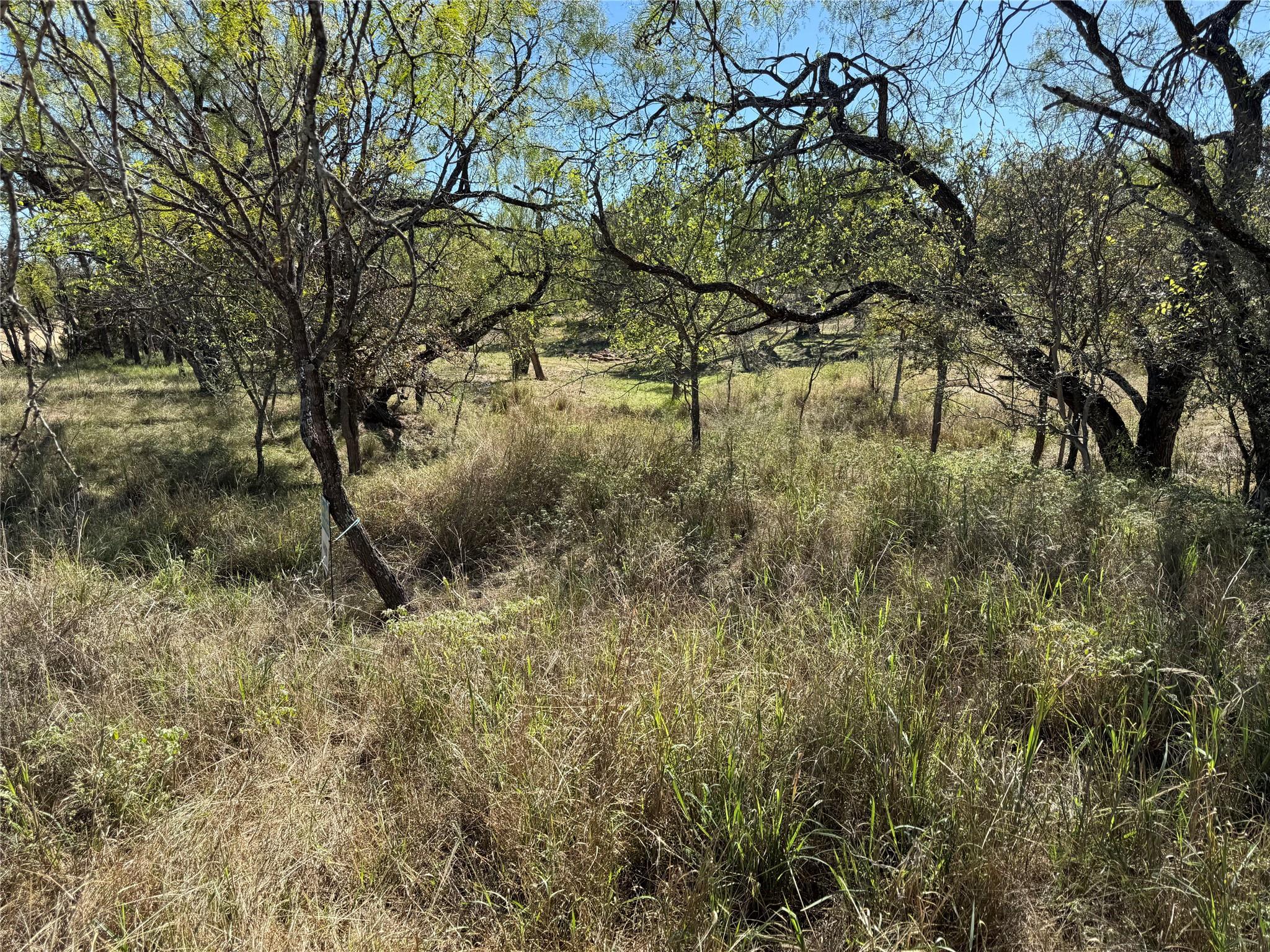 Lot 187 Longmont Street Kingsland TX 78639