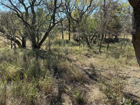 Lot 187 Longmont Street Kingsland TX 78639