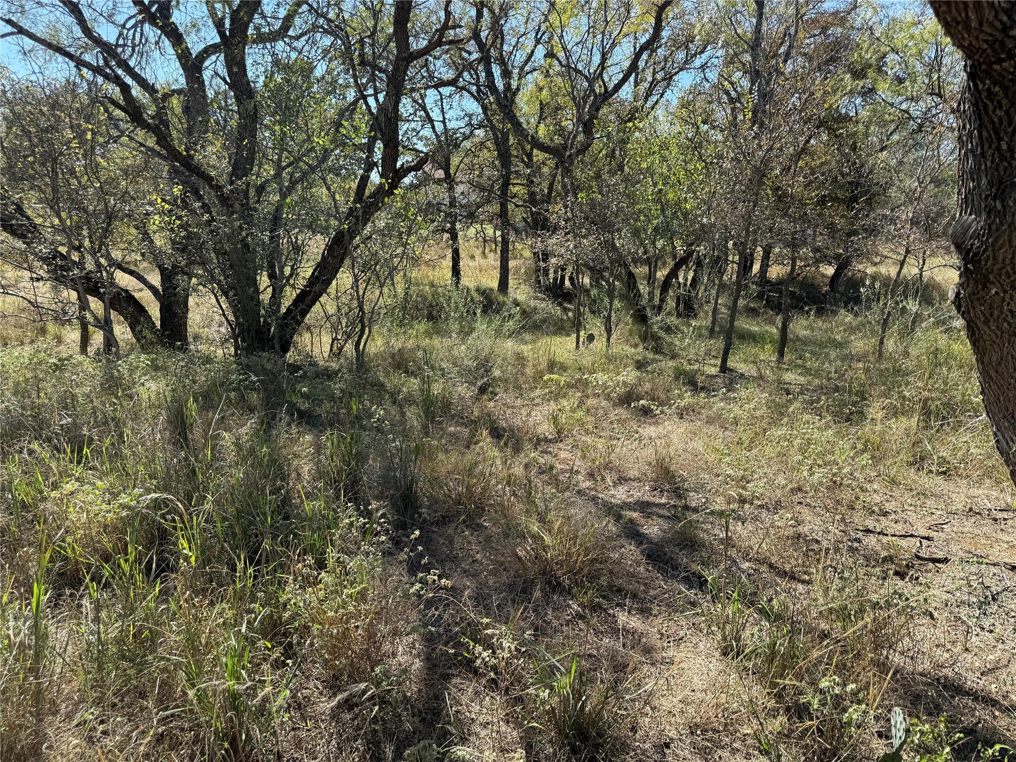 Lot 187 Longmont Street Kingsland TX 78639