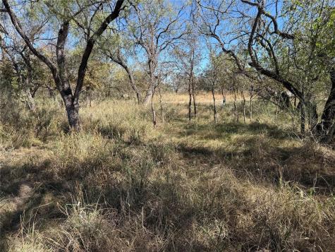 Lot 187 Longmont Street Kingsland TX 78639