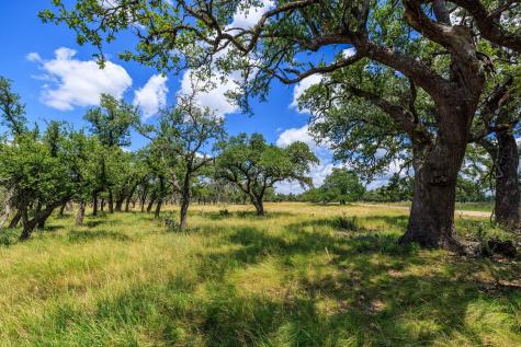 Lot 88 Stock Pond Drive Harper TX 78631