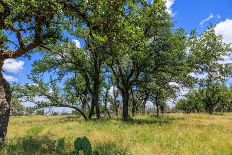 Lot 88 Stock Pond Drive Harper TX 78631