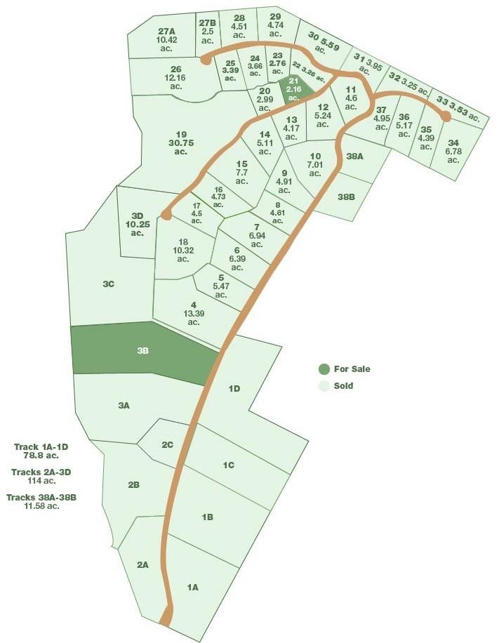 Lot 8 & 9 Stone Mountain Drive Marble Falls TX 78654