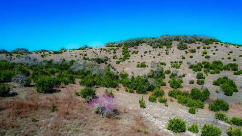 Lot 211 Majestic Hills Drive Blanco TX 78606