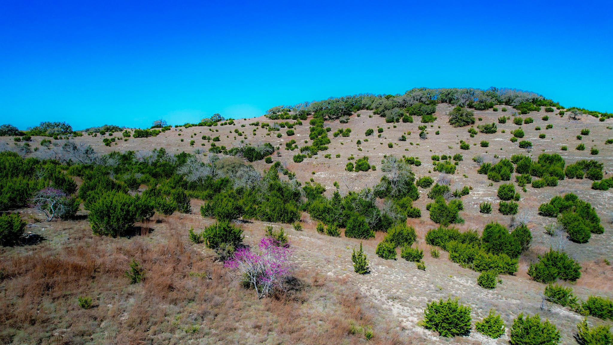 Lot 211 Majestic Hills Drive Blanco TX 78606
