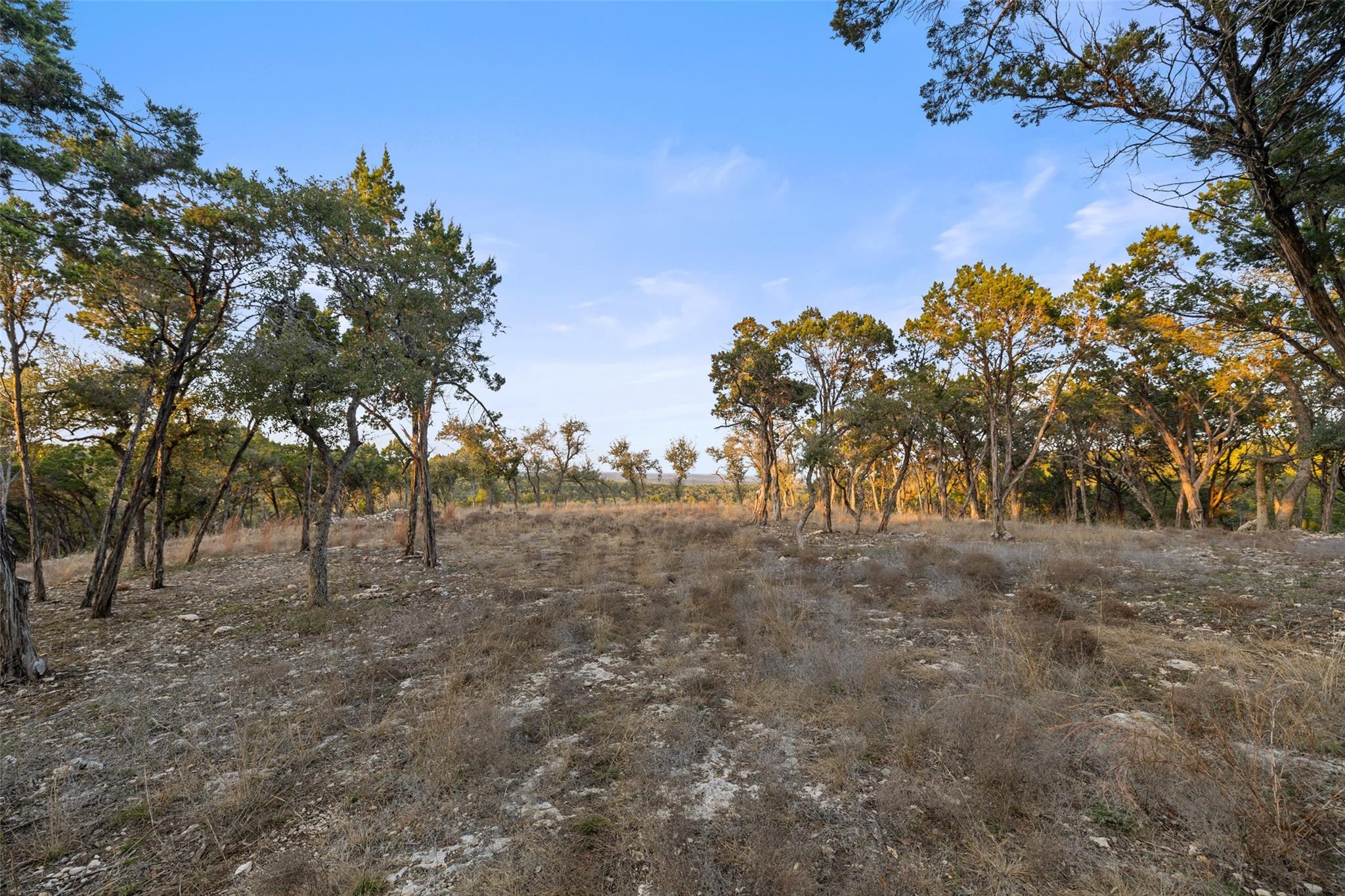 5946 Grotto Creek Court Fischer TX 78623