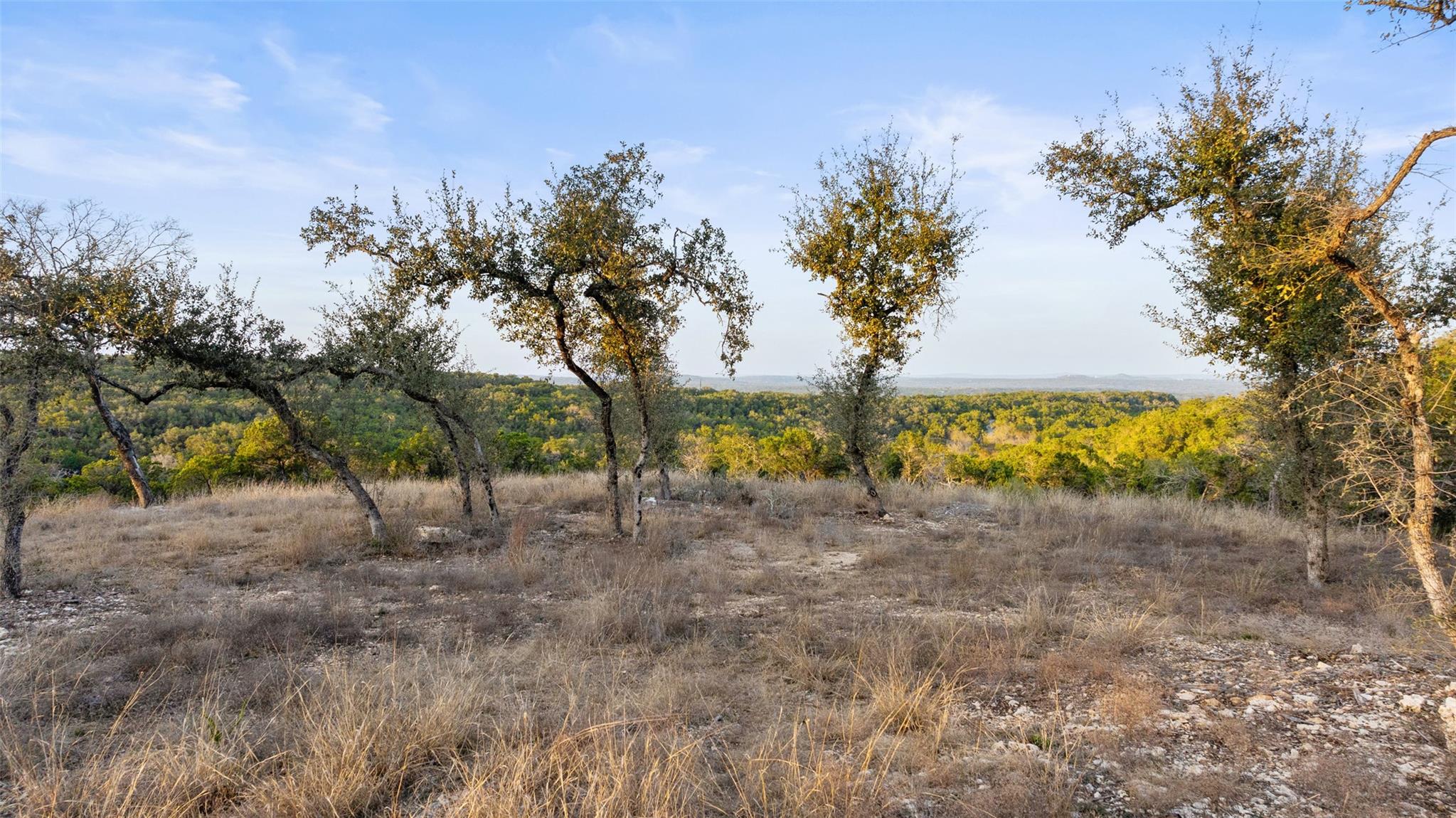 5946 Grotto Creek Court Fischer TX 78623