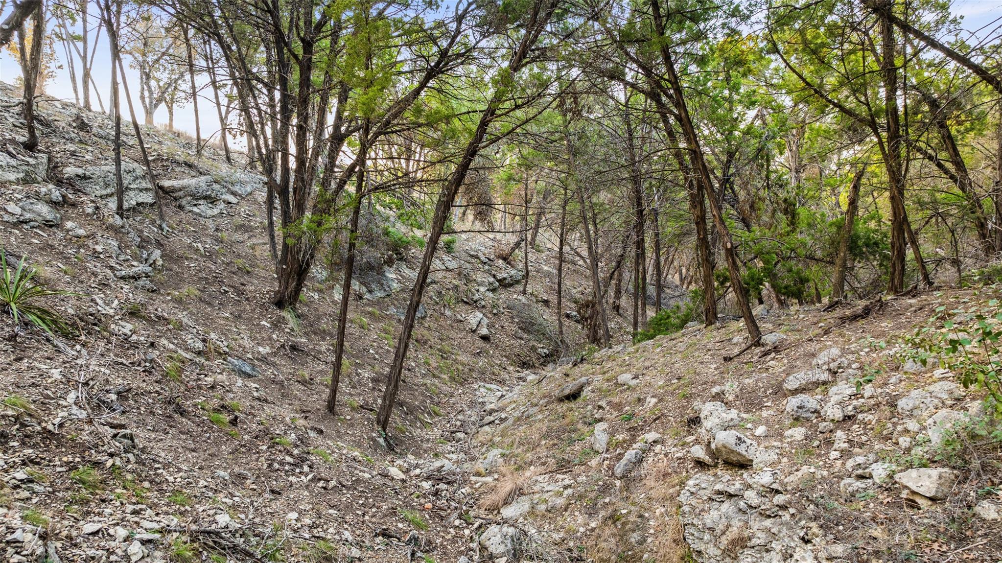 5946 Grotto Creek Court Fischer TX 78623