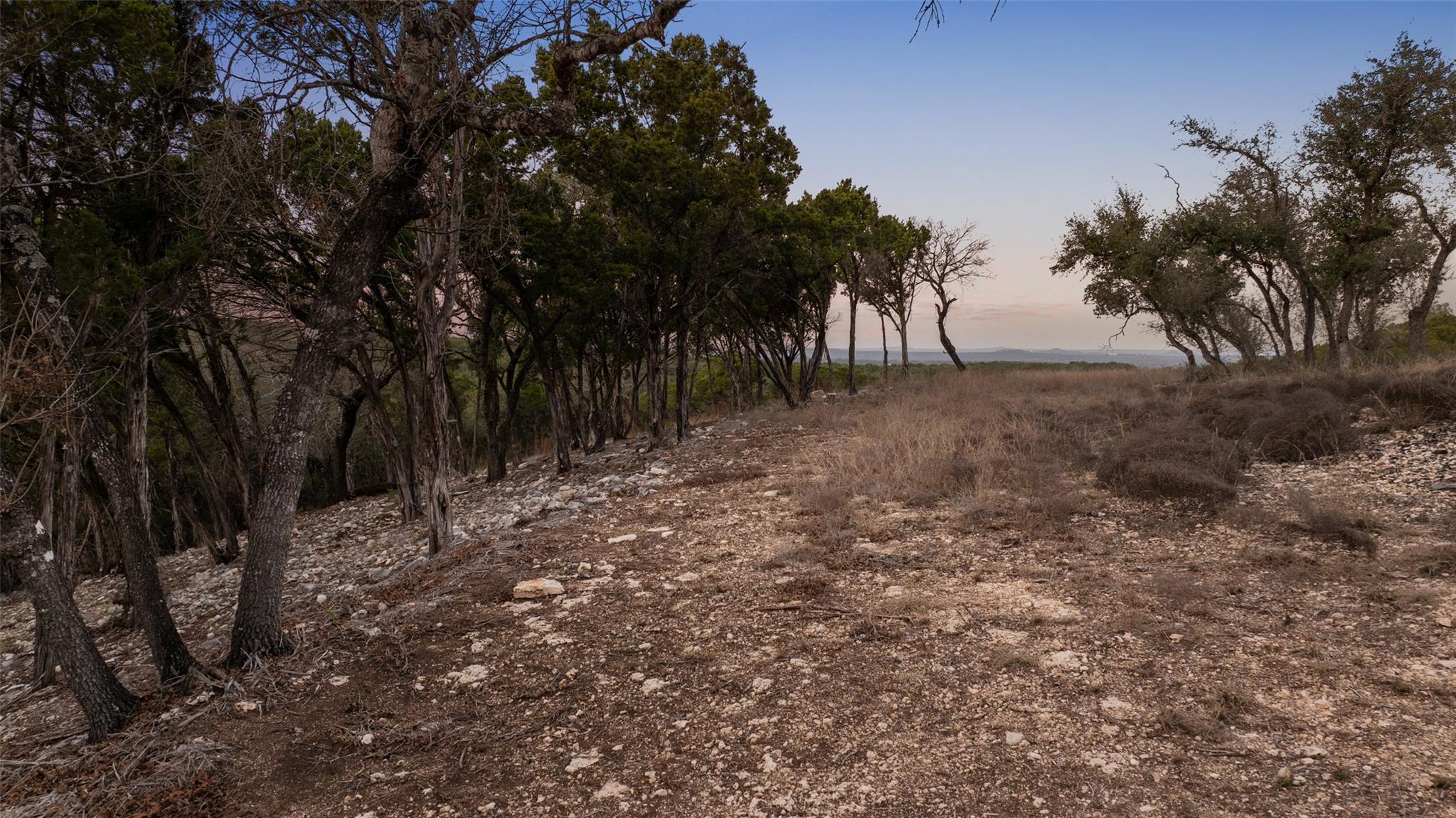 5946 Grotto Creek Court Fischer TX 78623