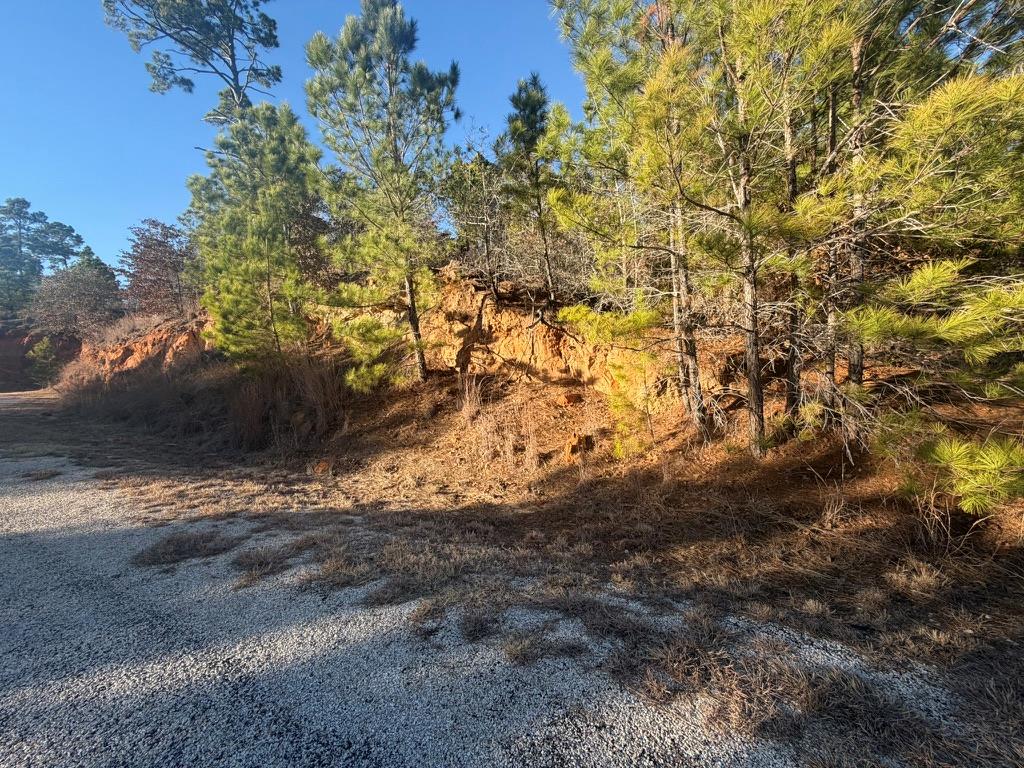 Lot 182 Keo Kea Court Bastrop TX 78602