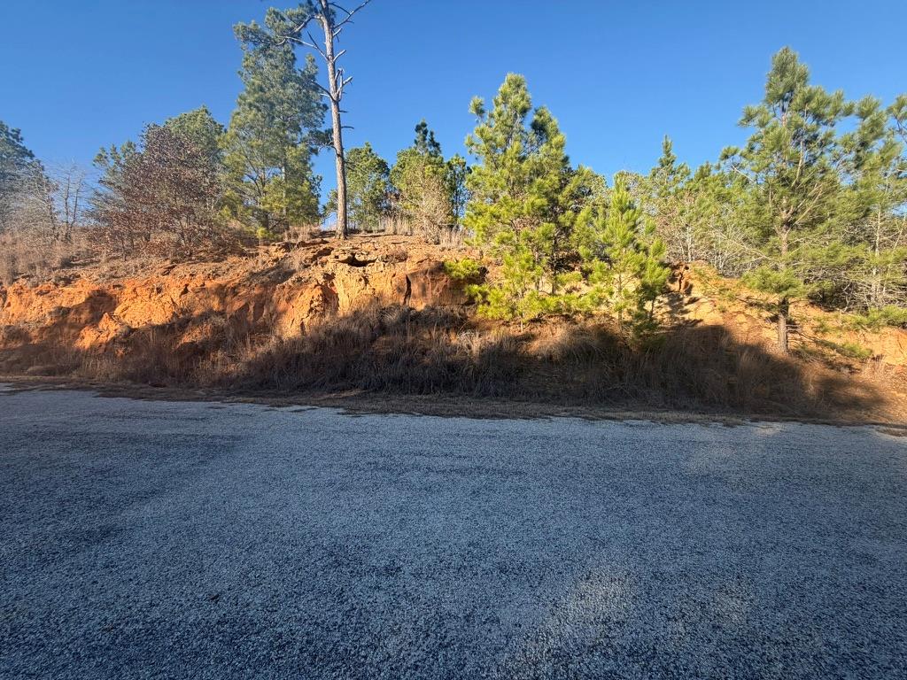 Lot 182 Keo Kea Court Bastrop TX 78602