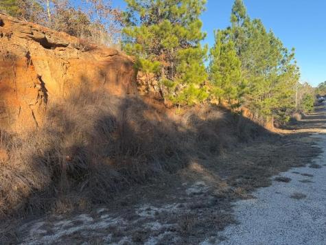 Lot 182 Keo Kea Court Bastrop TX 78602