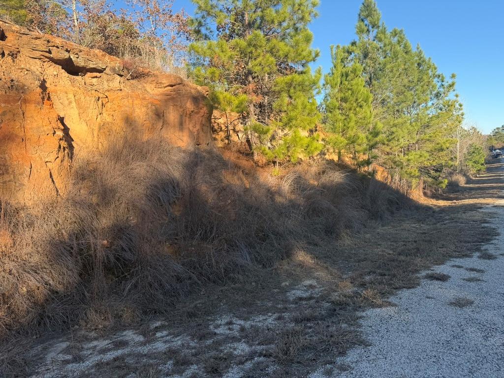 Lot 182 Keo Kea Court Bastrop TX 78602