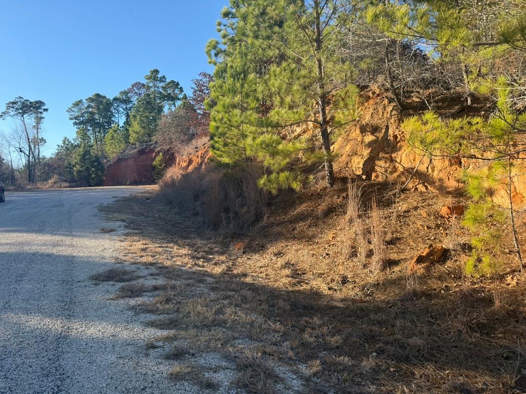 Lot 182 Keo Kea Court Bastrop TX 78602