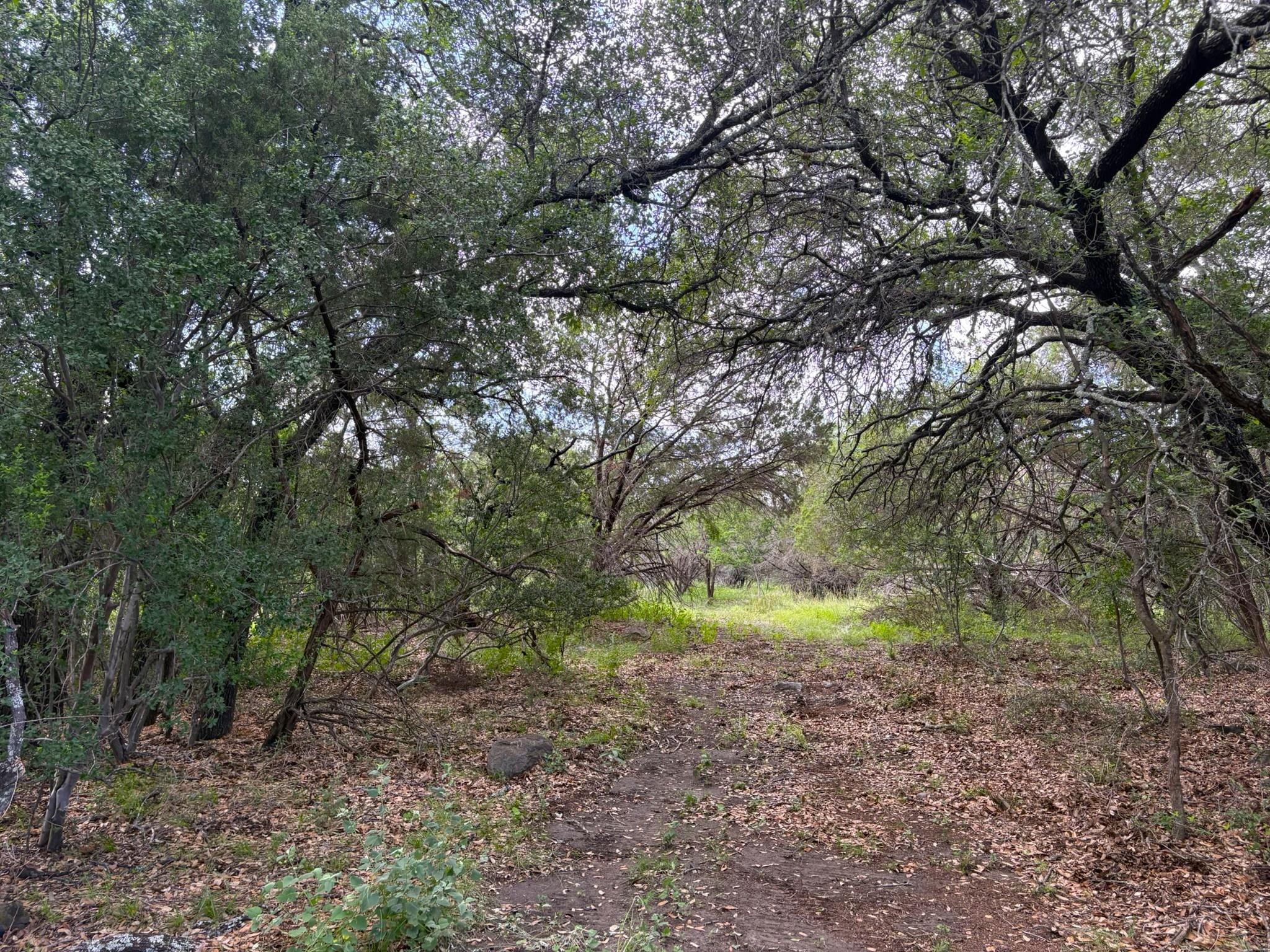380 Sandy Mountain Sunrise Beach TX 78643