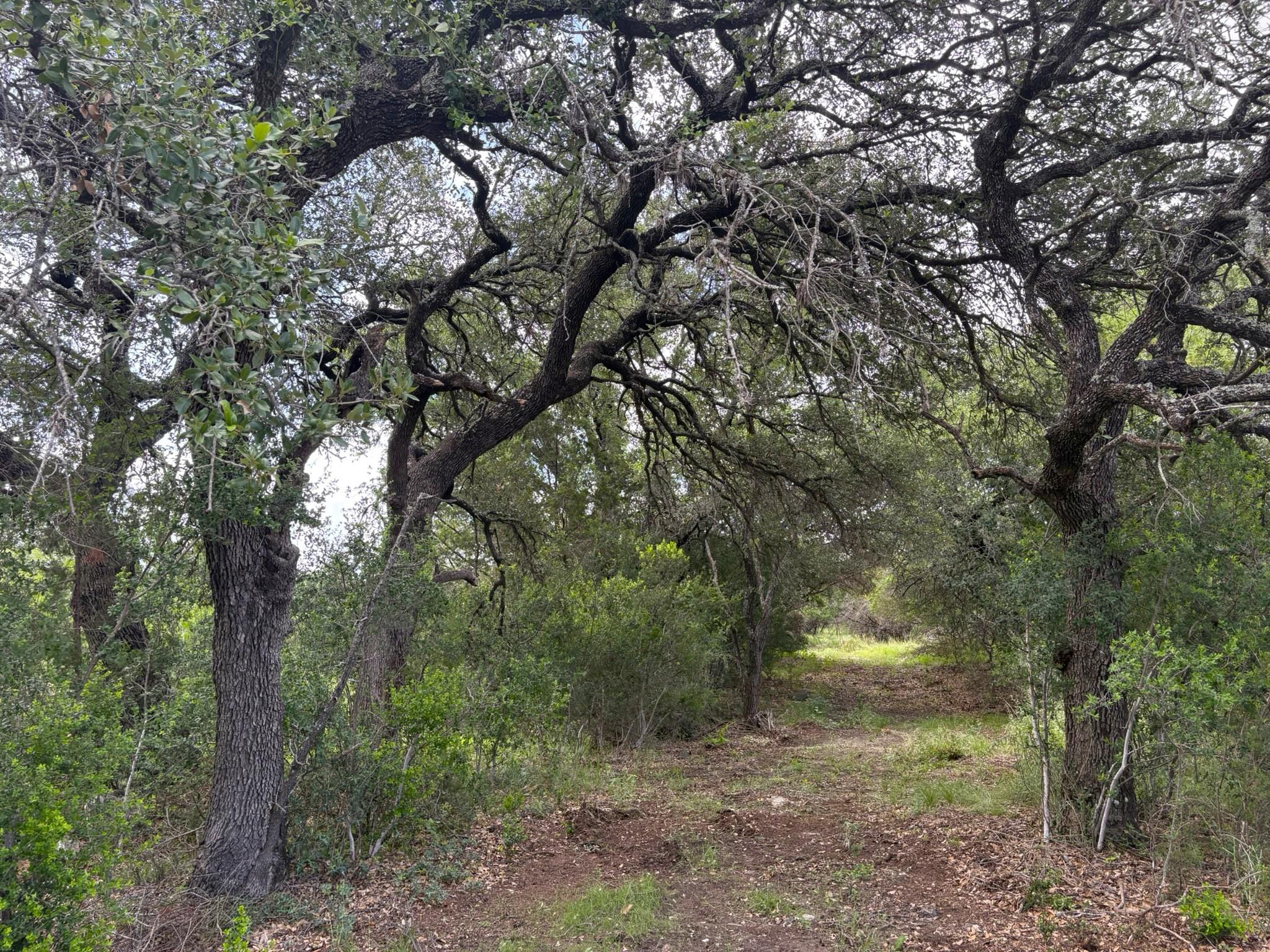 380 Sandy Mountain Sunrise Beach TX 78643