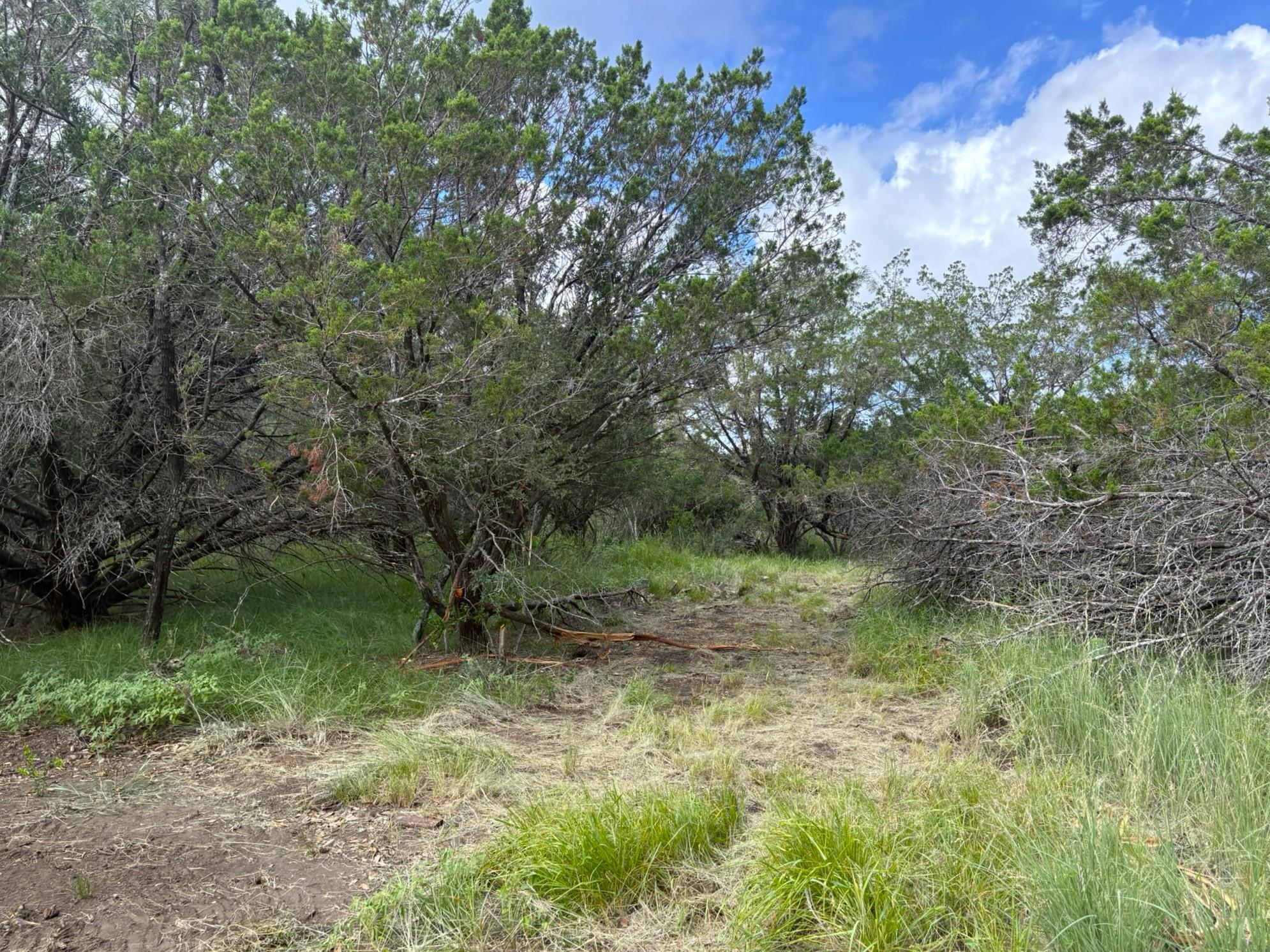 380 Sandy Mountain Sunrise Beach TX 78643
