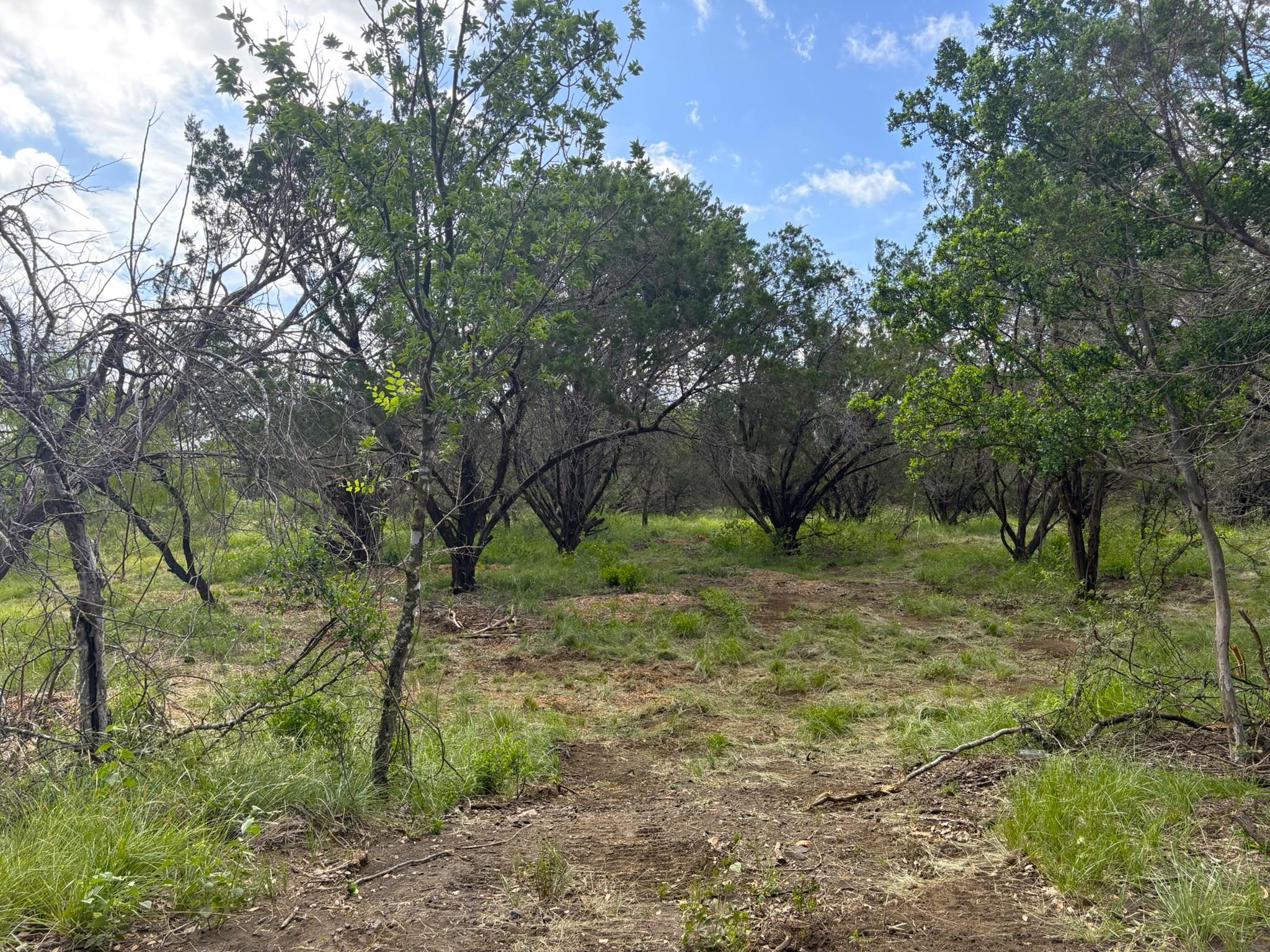 380 Sandy Mountain Sunrise Beach TX 78643