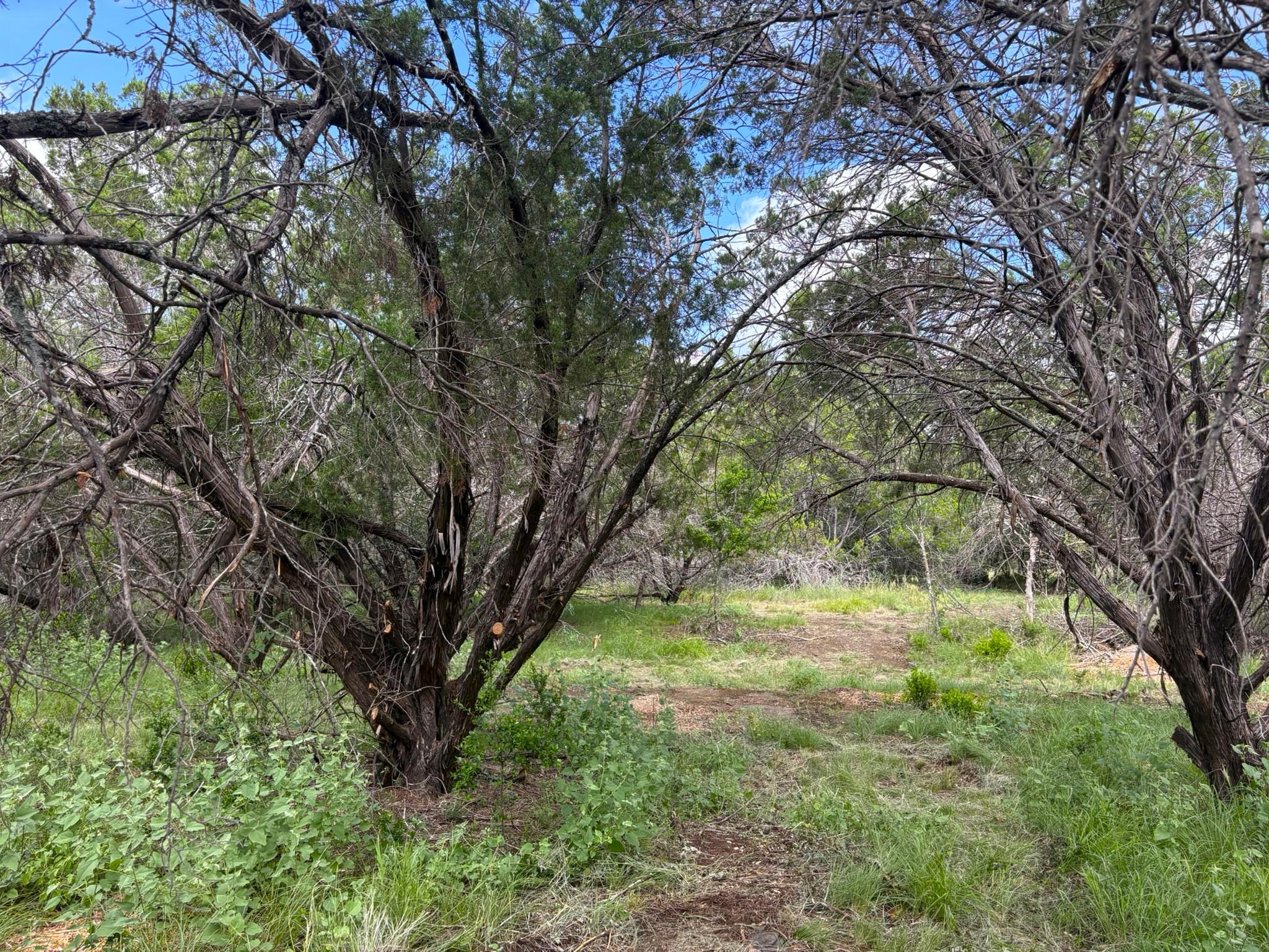 380 Sandy Mountain Sunrise Beach TX 78643