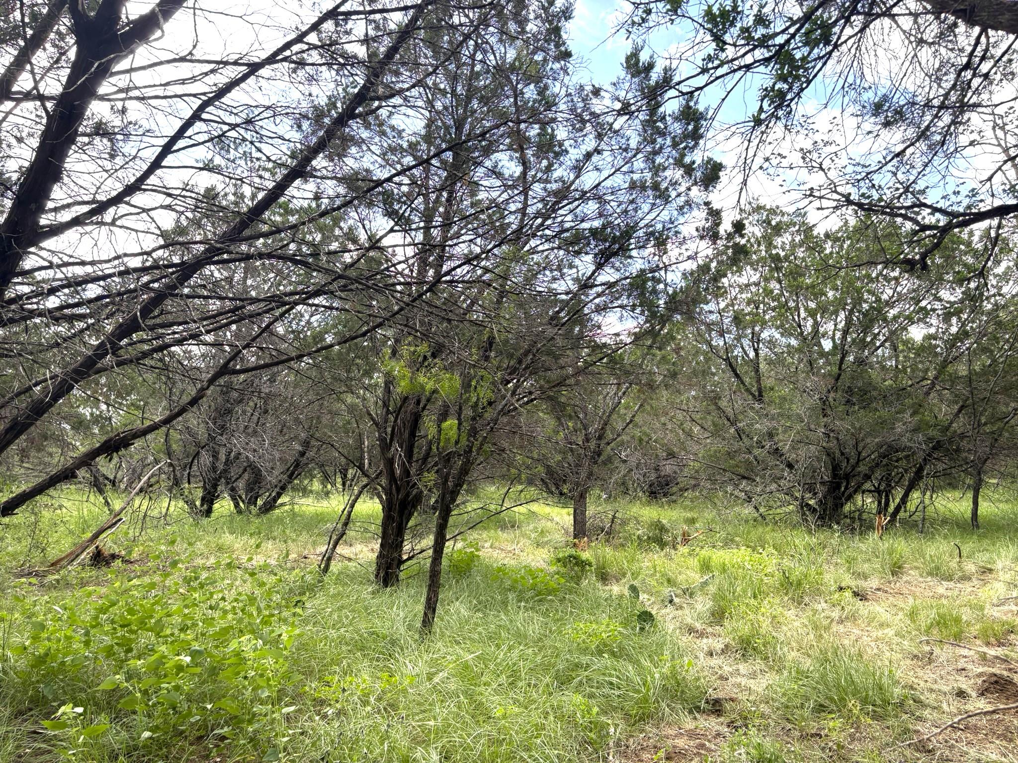 380 Sandy Mountain Sunrise Beach TX 78643
