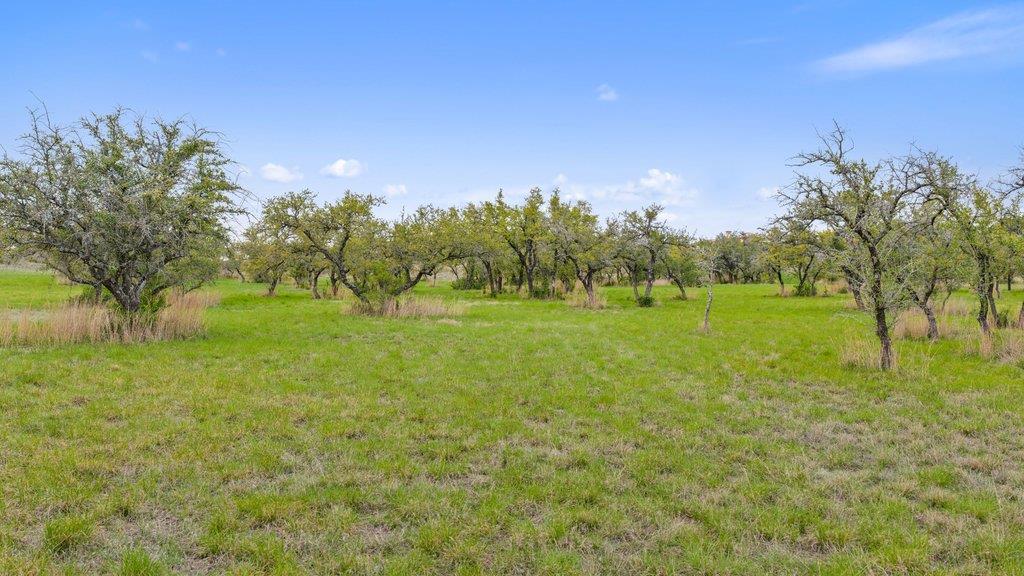 701 Dawn View Dripping Springs TX 78620