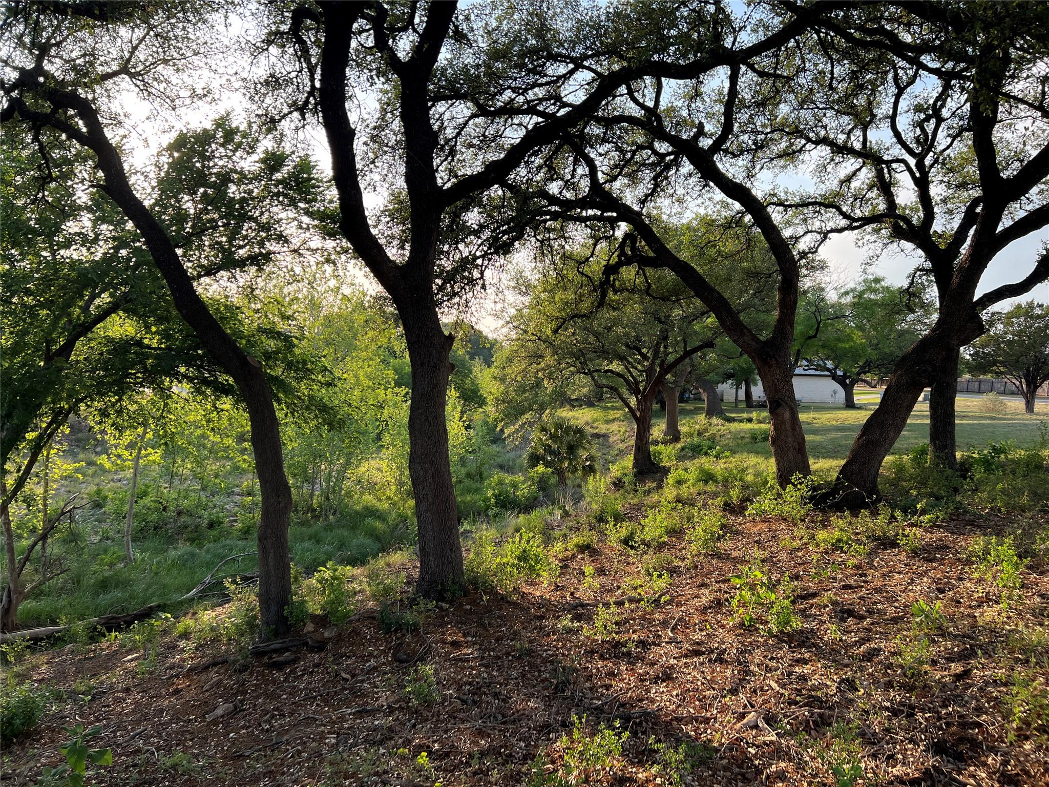 Lot 210 Creek Lane Horseshoe Bay TX 78657