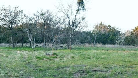 1141 Settlers Road San Marcos TX 78666