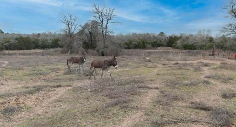 920 Old Potato Road Paige TX 78659