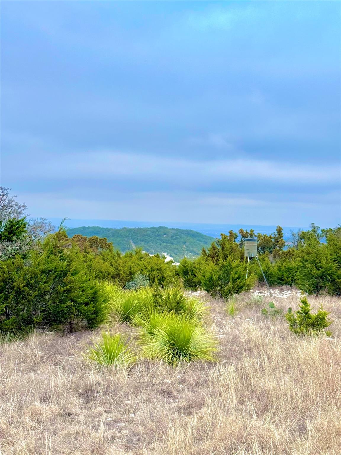 123 Fox Trail Drive Center Point TX 78013