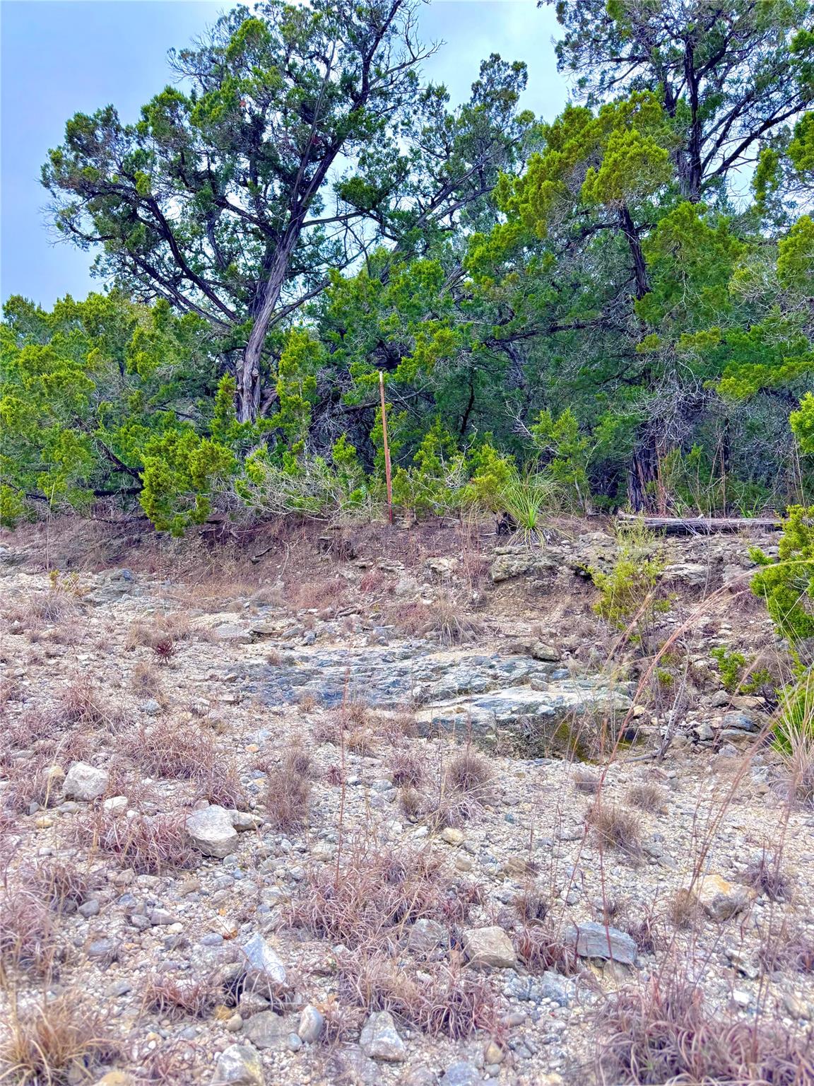 123 Fox Trail Drive Center Point TX 78013