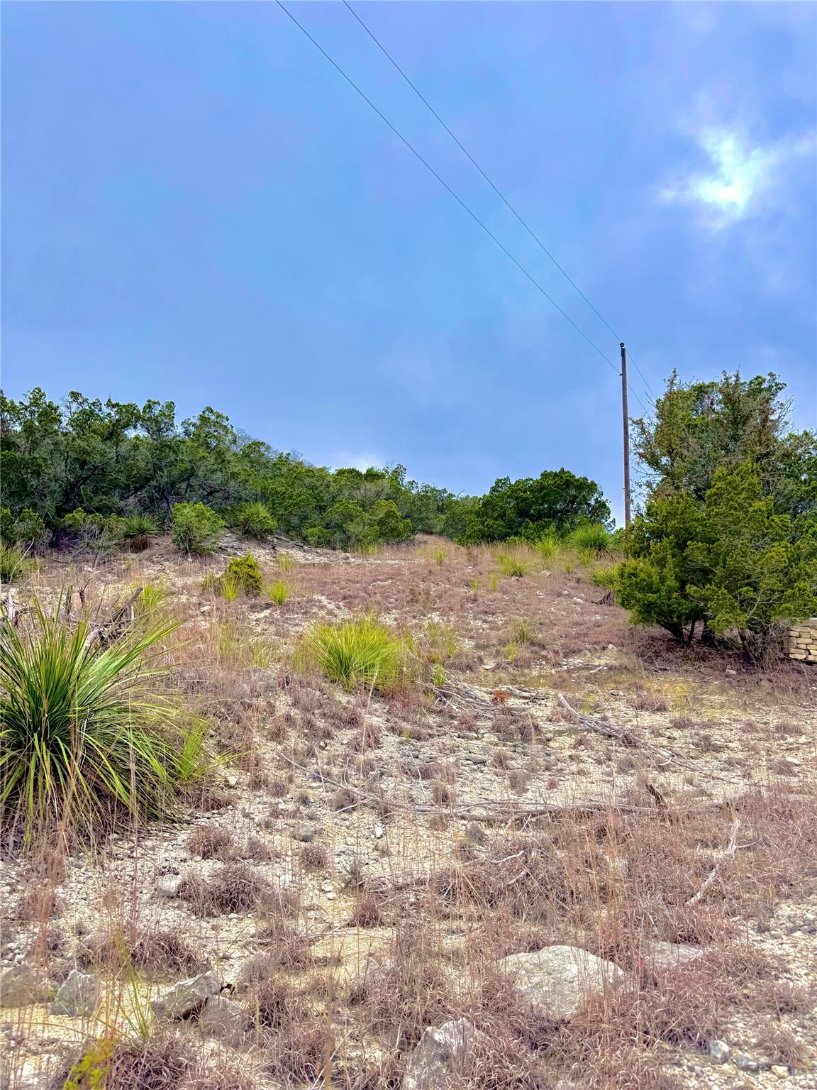 123 Fox Trail Drive Center Point TX 78013