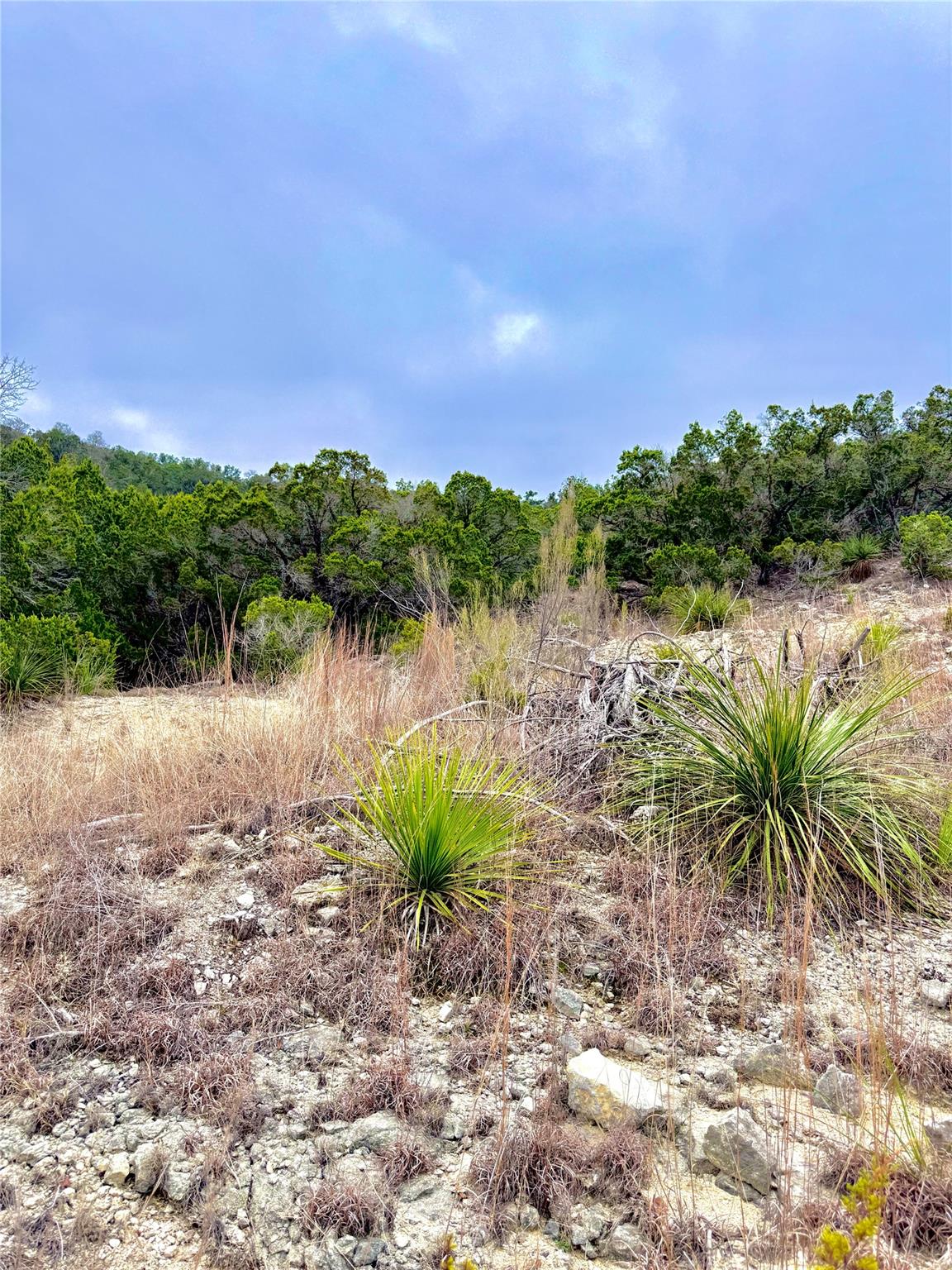123 Fox Trail Drive Center Point TX 78013