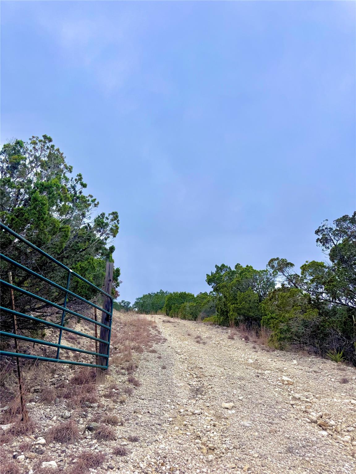 123 Fox Trail Drive Center Point TX 78013
