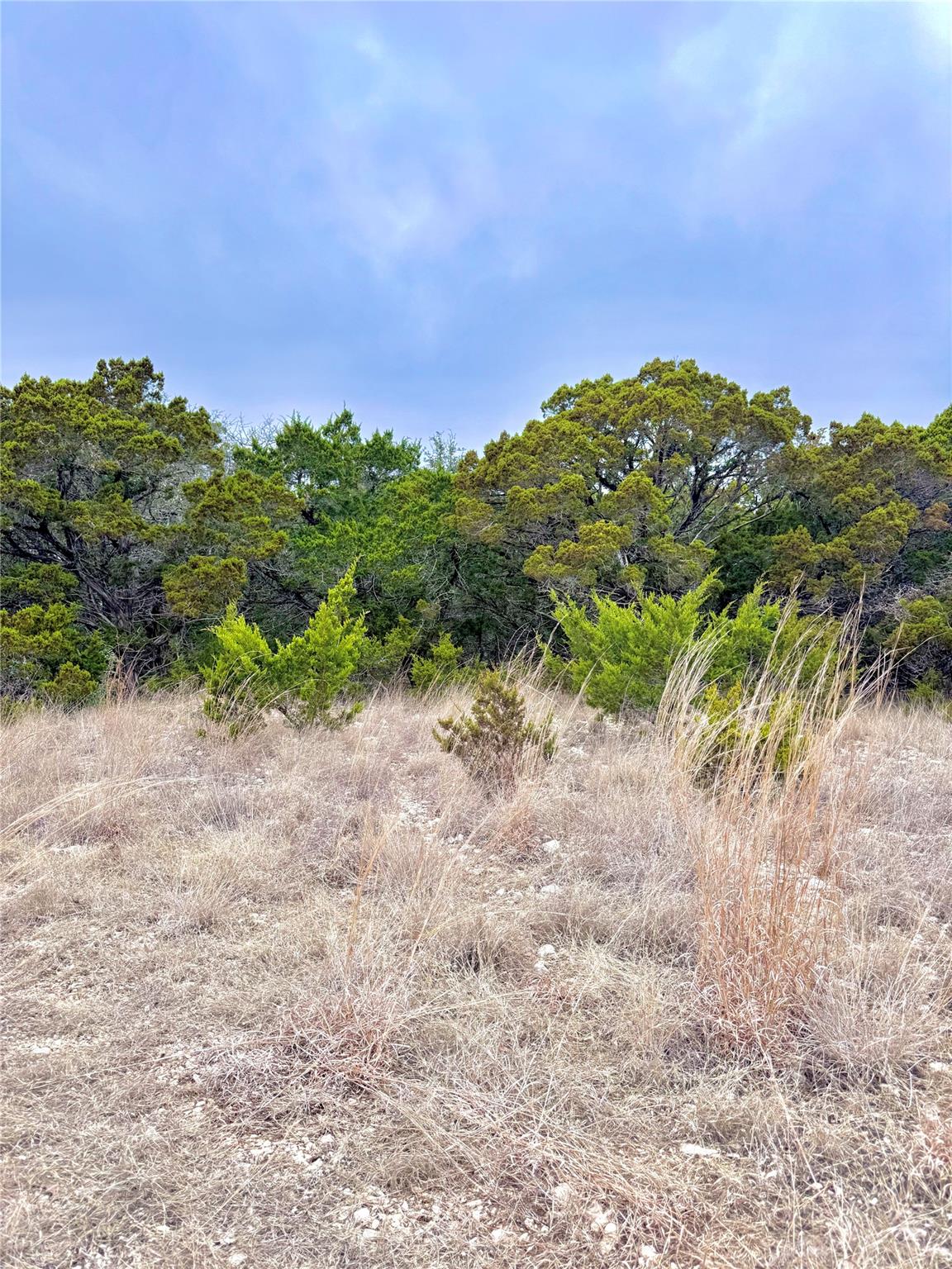 123 Fox Trail Drive Center Point TX 78013