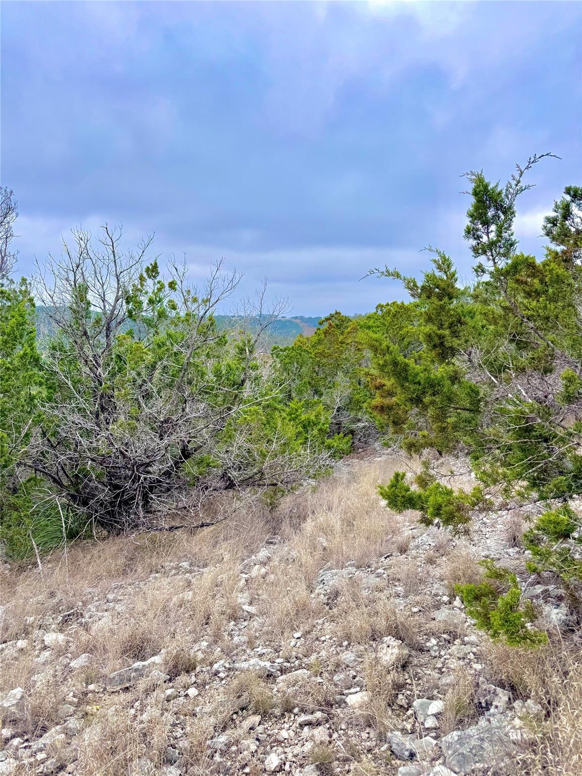 123 Fox Trail Drive Center Point TX 78013