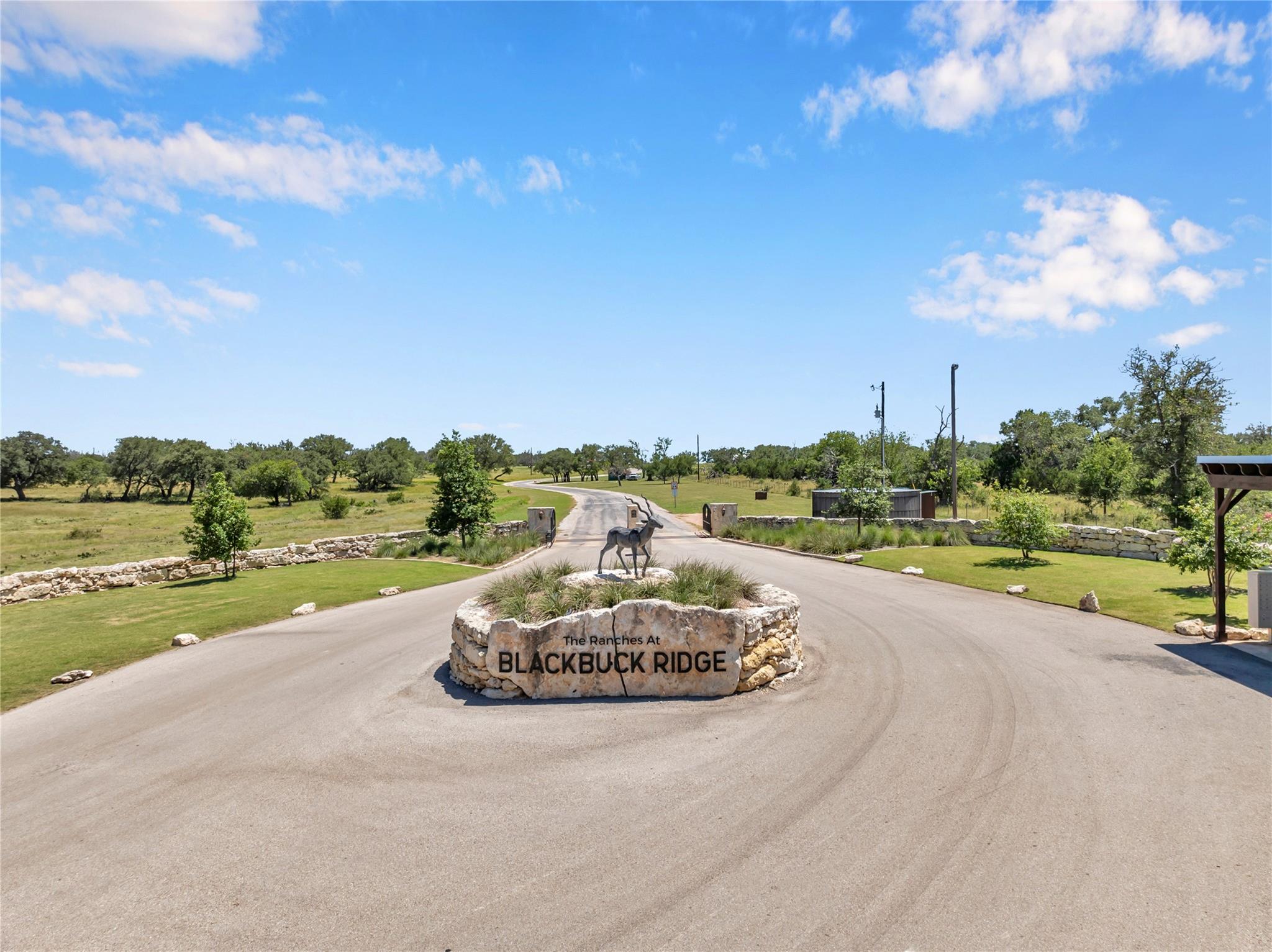 Lot 90 Blackbuck Ridge Drive Lampasas TX 76550