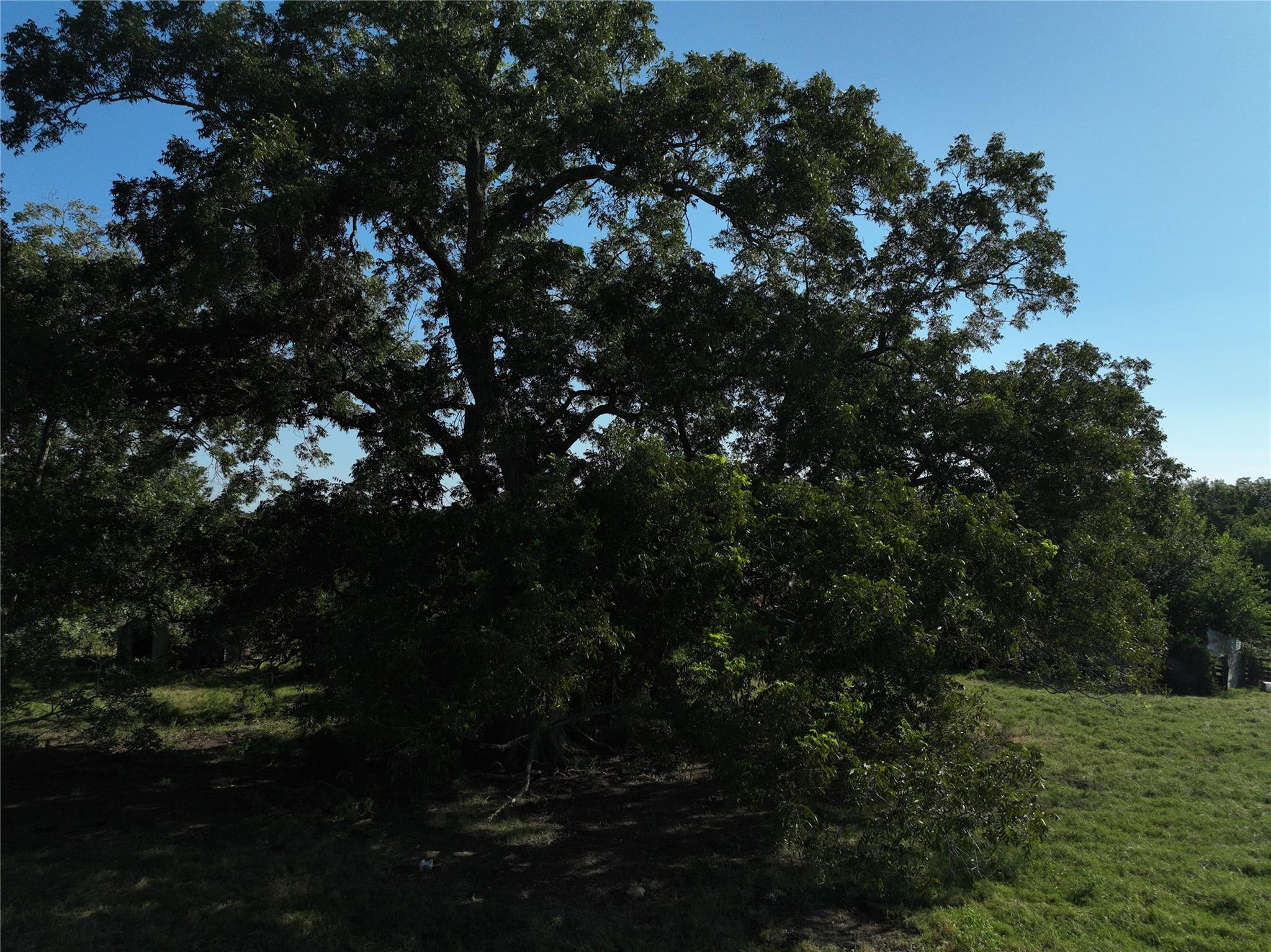 Tbd Lot 2 Randermann Road Brenham TX 77833